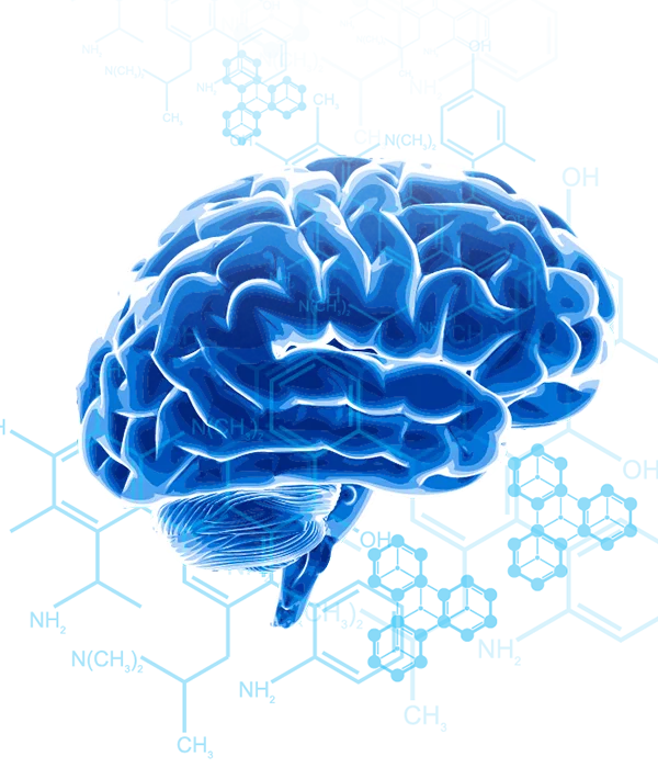 cerebro