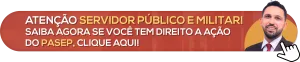 CONSULTORES ACAO PASEP