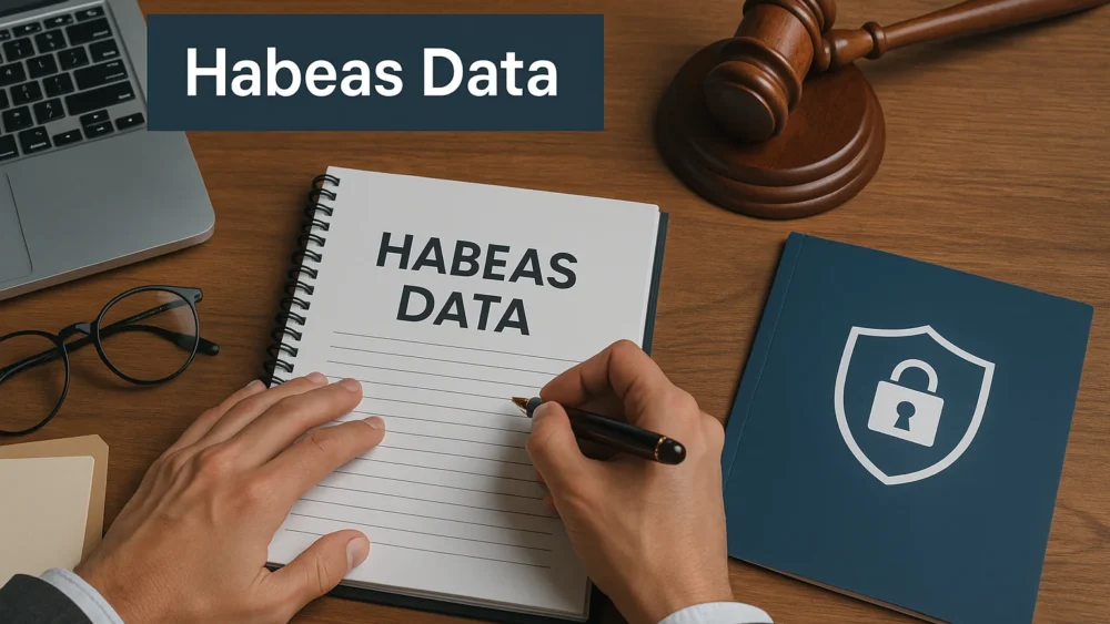 habeas data: direito constitucional
