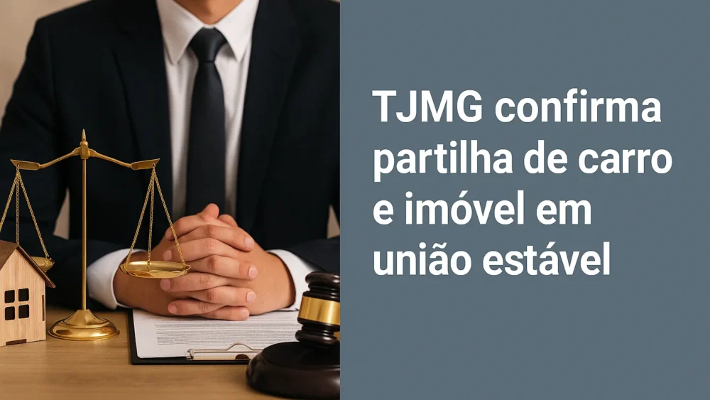 TJMG partilha de ccarro e imóvel