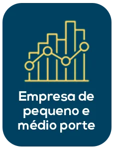 Empresa de pequeno e médio porte Empresa de pequeno e médio porte