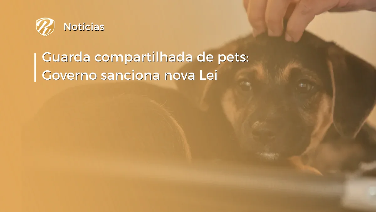 Guarda compartilhada de pets