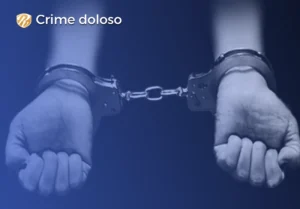 crime doloso 1 artigo