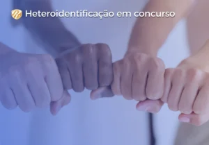 heteroidentificacao 2 artigo