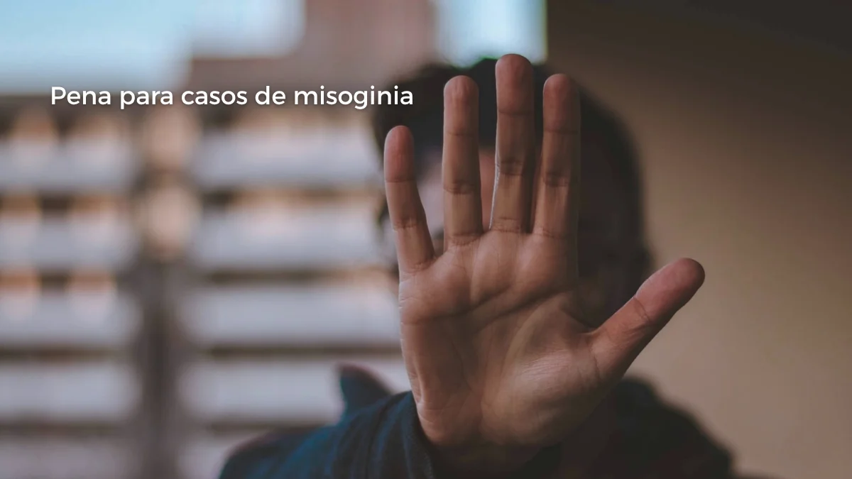 misoginia