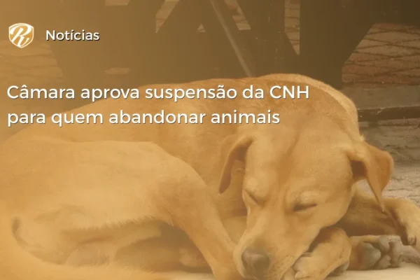 CÂMARA CNH animais WP