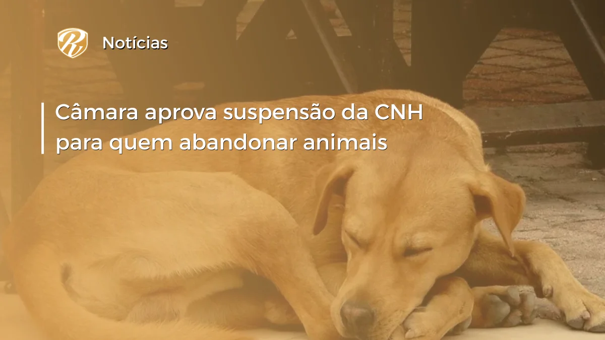 CÂMARA CNH animais WP
